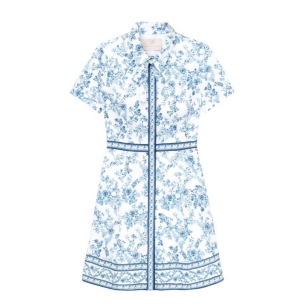 Darla dress from gal meets glam